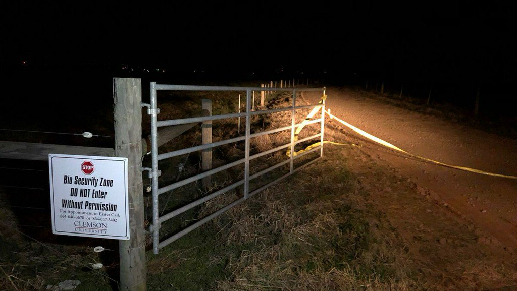 Suspect shot after pulling rifle on Anderson County deputy following a vehicle pursuit, sheriff says    