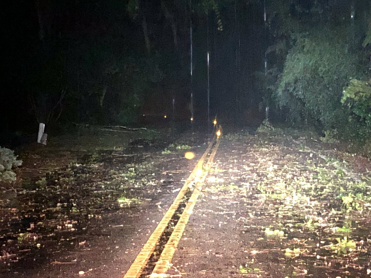 Lots of tree branches, leaves and ponding in some spots on Long Point Road in Mount Pleasant. 