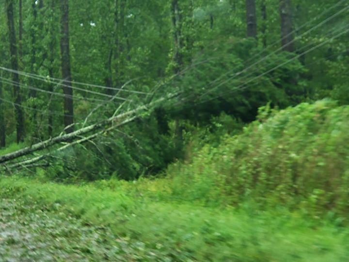 Power outages have been reported in Ravenel, and a tree that fell down on powerlines on County Line Rd.