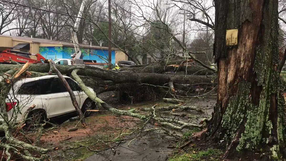 3 cars crushed when a  tree fell on Park Ave in Rock Hill. No one hurt but they sure heard it fall.  Power out as well