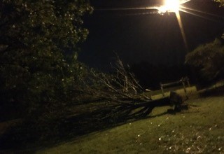 Picture from Shiloh Road in Seneca where a large tornado touched down. 