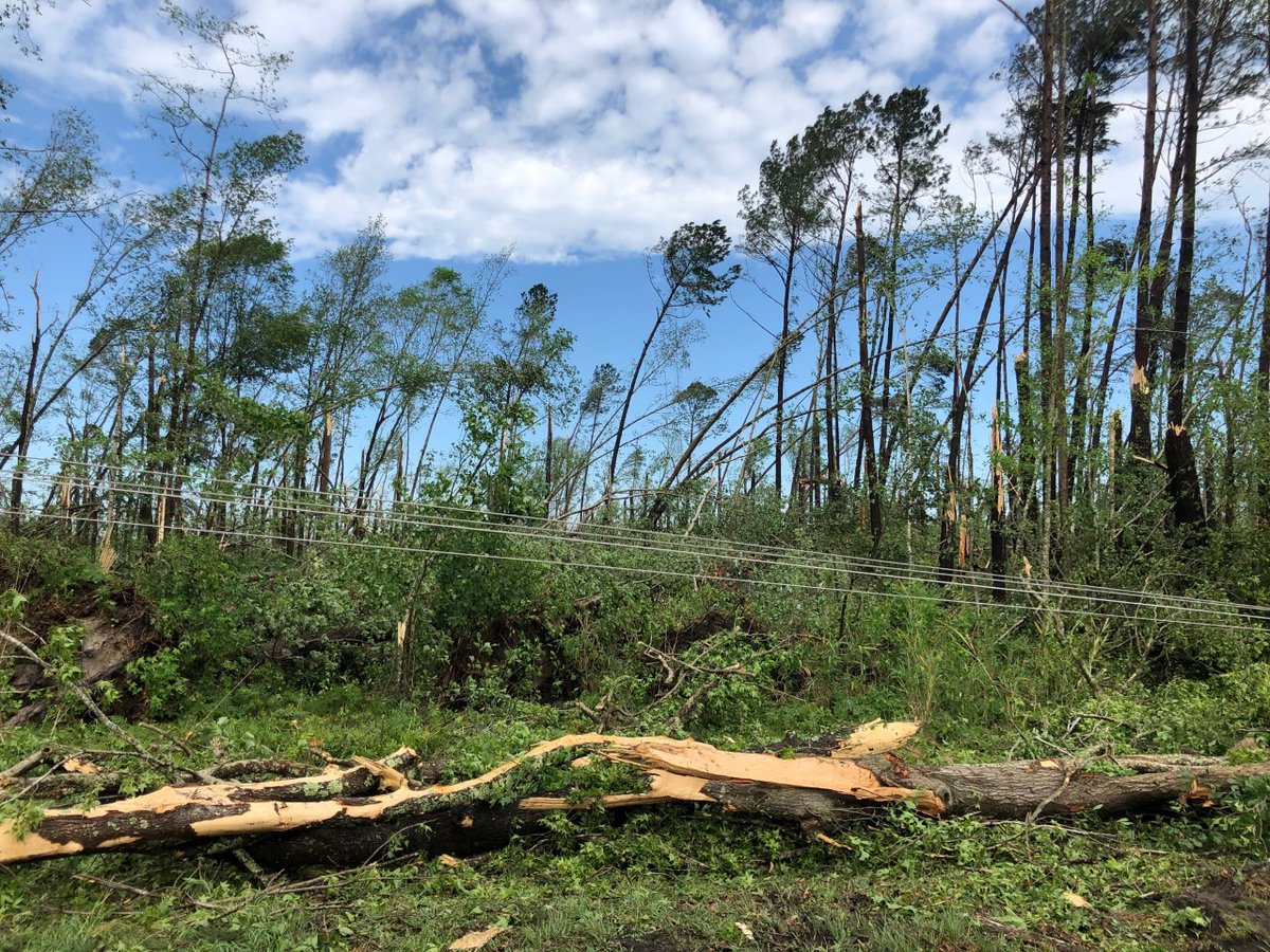 South Carolina overnight; 5 people died in storms.