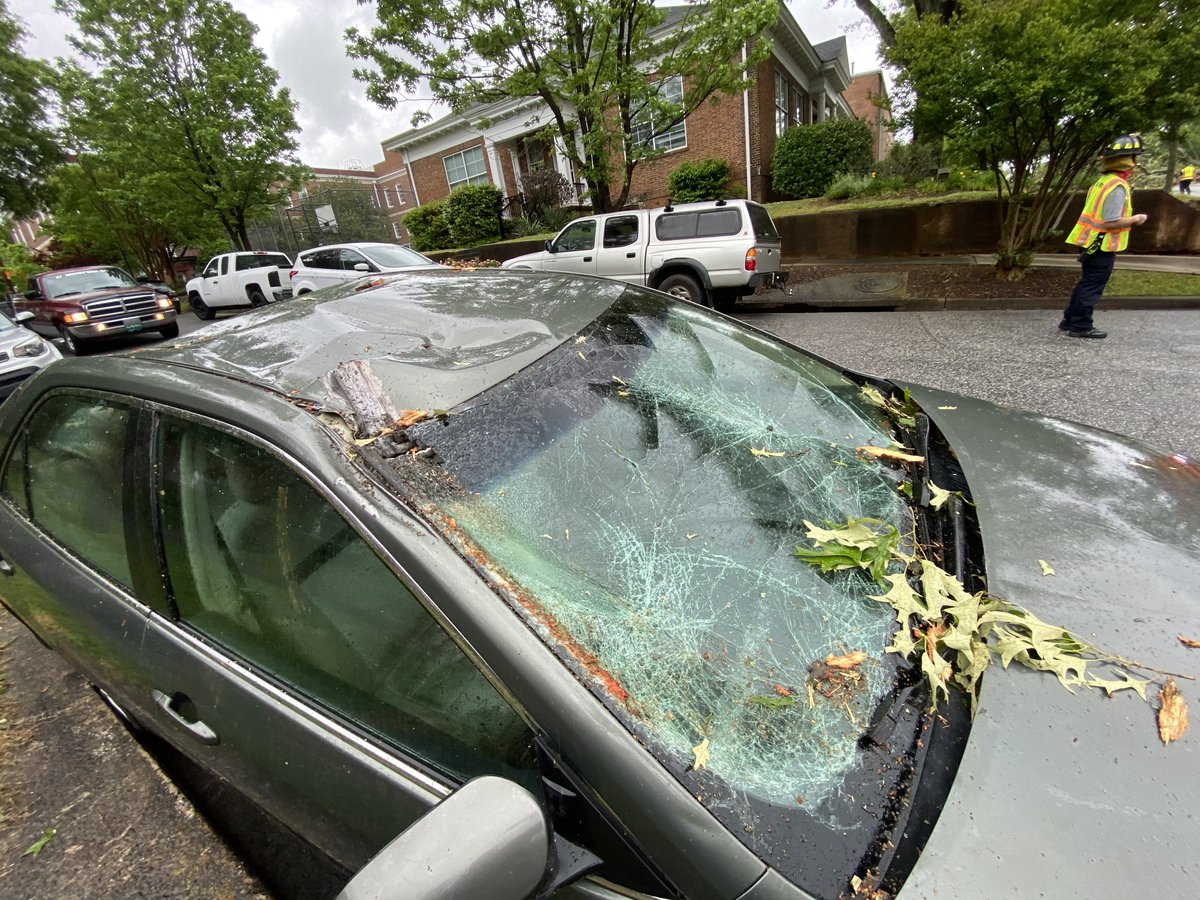 Crew took these shots of the damage on Stone Ave. near Rutherford Street in Greenville after a tree fell across the road.