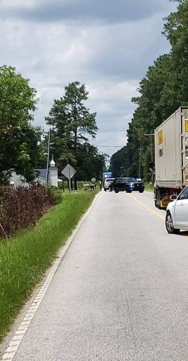 Deputies are investigating a drive by shooting this afternoon in the area of National Cemetery and Paper Mill Road in Florence County, according to Florence County Sheriff TJ Joye.  No word on the victim's injuries
