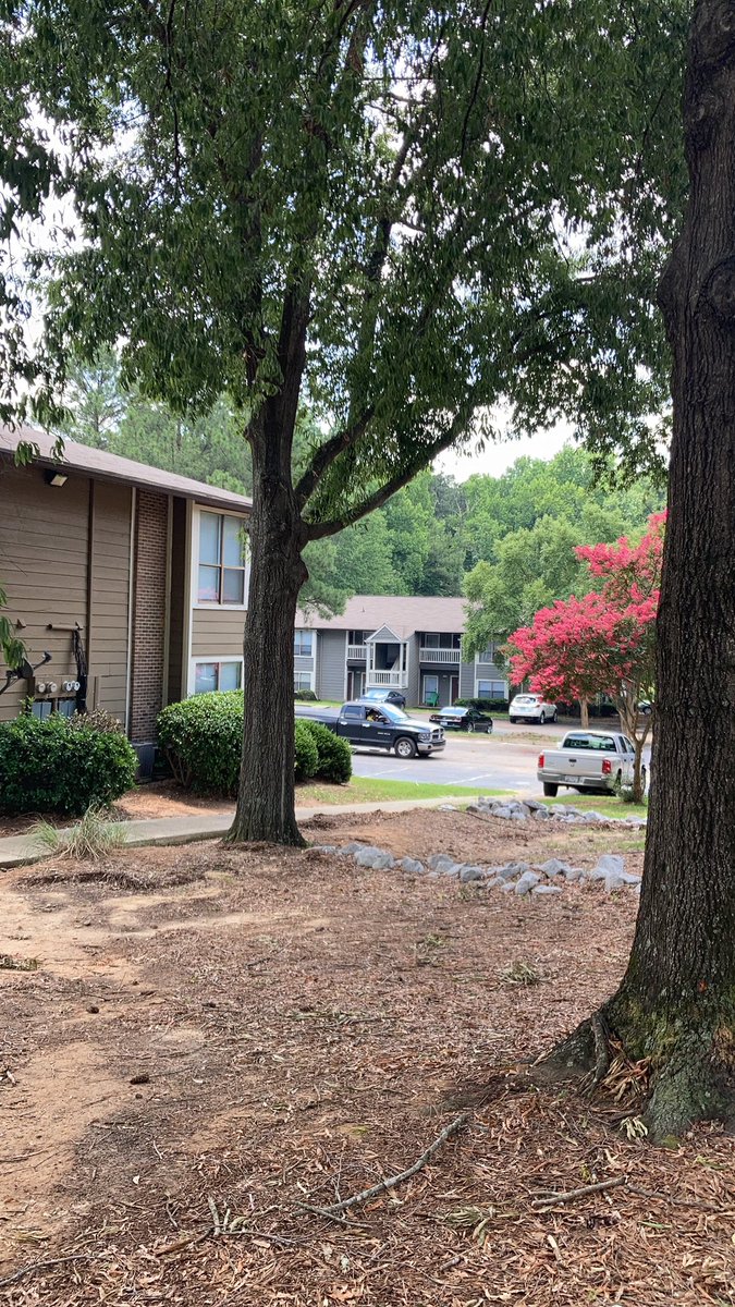 One person is dead and three were found shot this morning at a Columbia apartment complex 