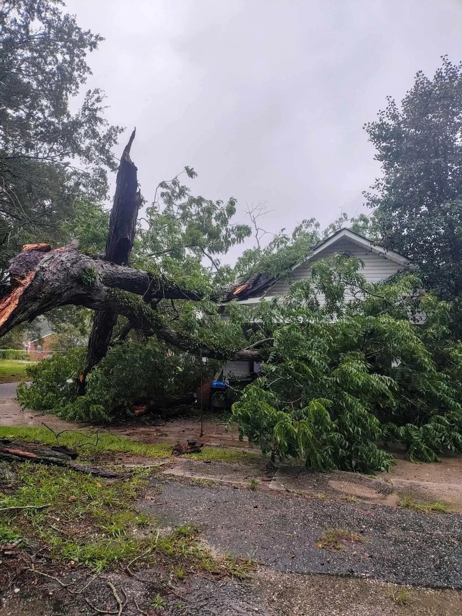 Community members said a tree collapsed on a home on East Hampton Street in Dillon during the storm yesterday. They said thankfully no one was hurt but there is major damage to the house.   