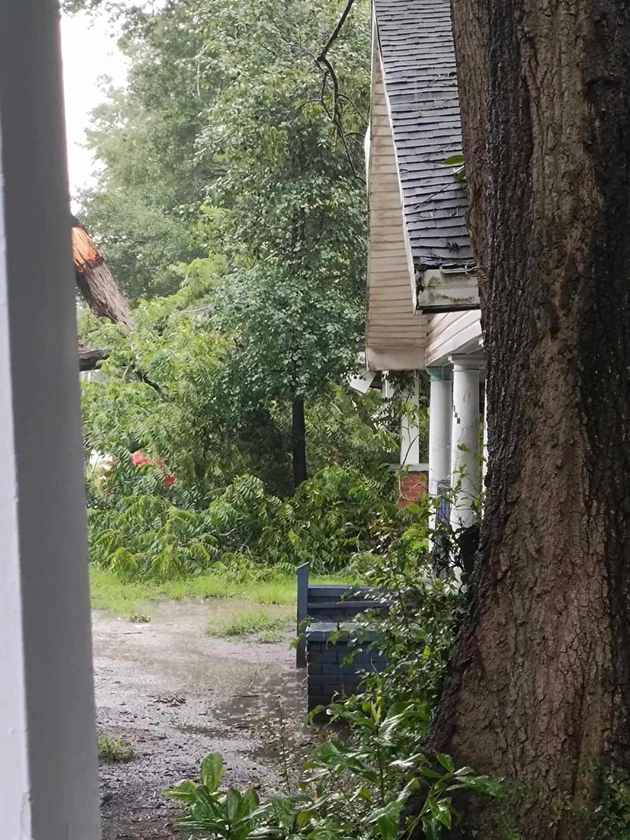 Community members said a tree collapsed on a home on East Hampton Street in Dillon during the storm yesterday. They said thankfully no one was hurt but there is major damage to the house.   