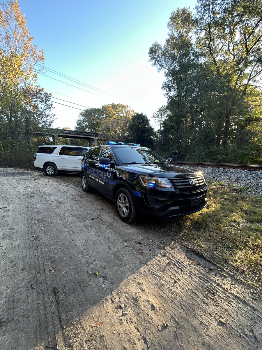 Charleston Police are investigating a fatality involving an Amtrak train and a pedestrian on the railway near Hwy 61 and Bees Ferry Rd. There are no impacts to vehicular traffic in the area. Additional details will be shared as they become available